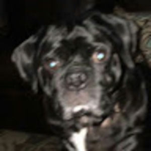 Meet your Posher, Johnny